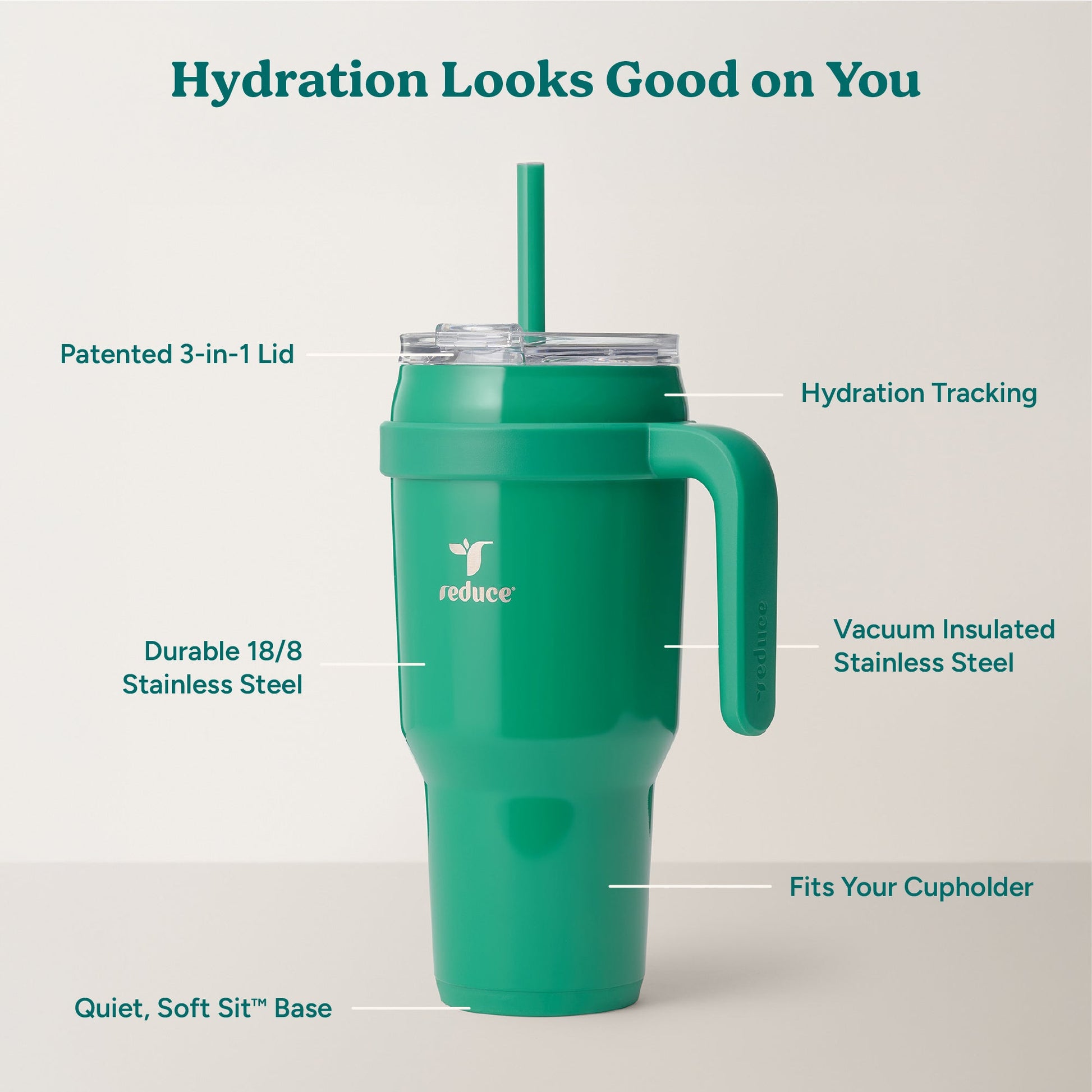 cold1-40-oz-a1 Cold1_40oz_PalmLeaf_Infographic_2.jpg
