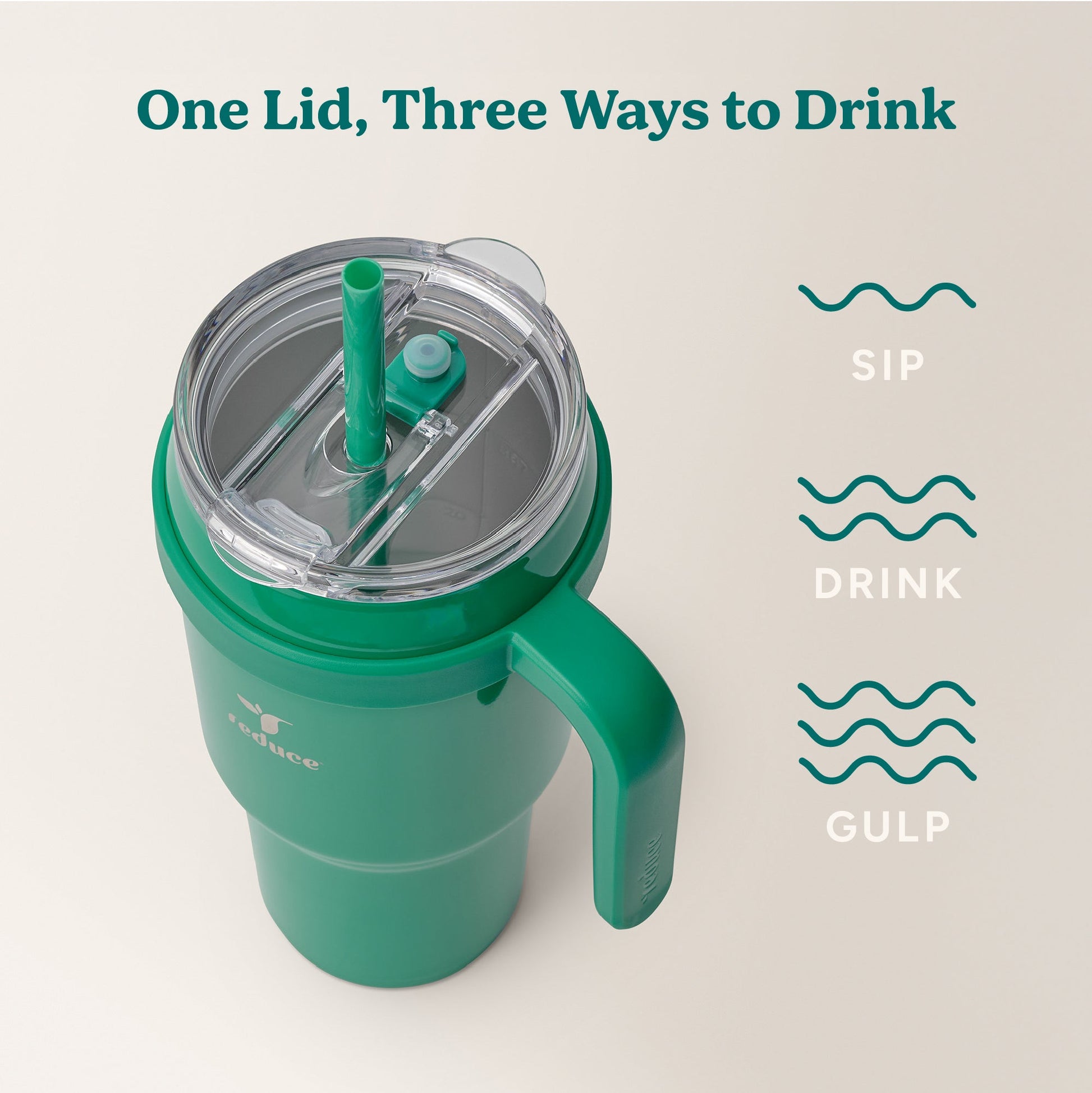 cold1-40-oz-a1 Cold1_40oz_PalmLeaf_Infographic_3.jpg