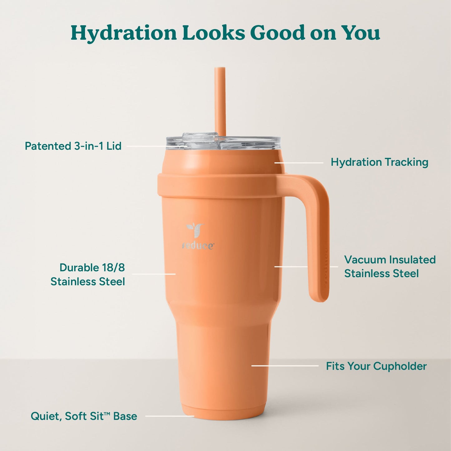 cold1-40-oz-a1 Cold1_40oz_Papaya_Infographic_2.jpg