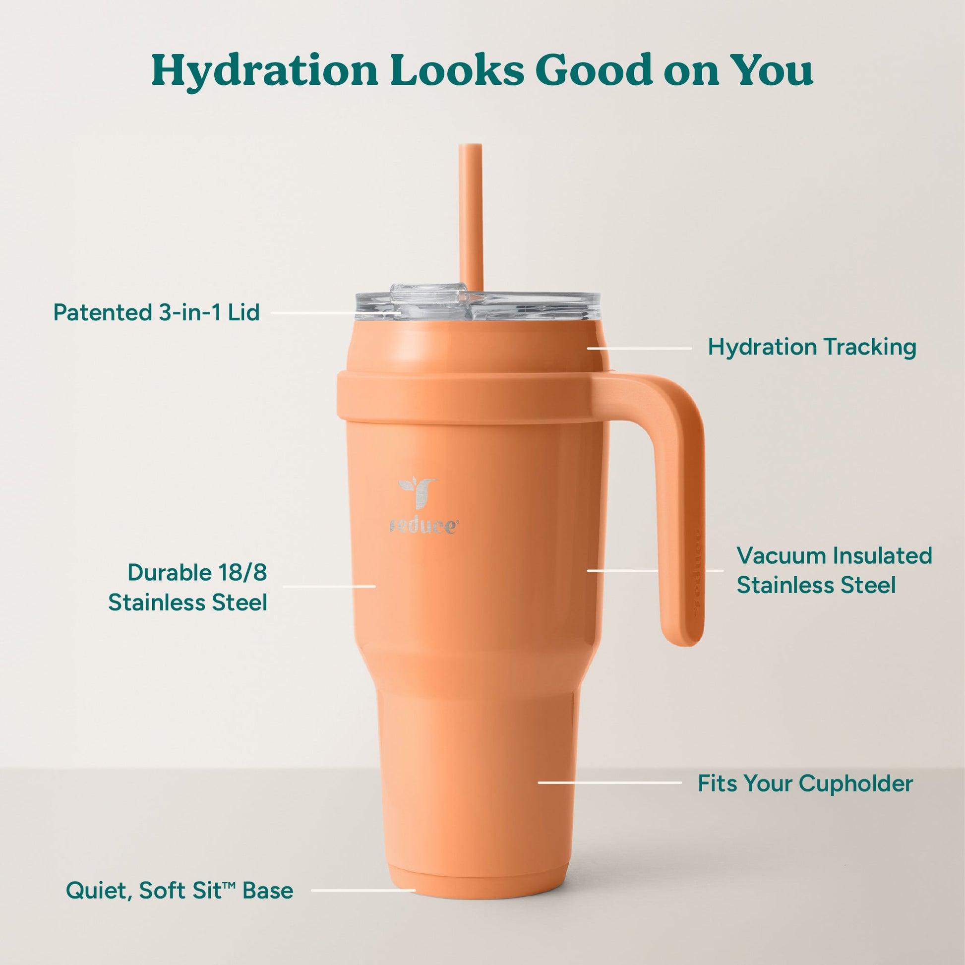 cold1-40-oz-a1 Cold1_40oz_Papaya_Infographic_2.jpg